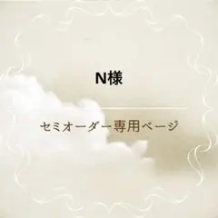 Ｎ ⋆*様 リクエスト 2点 まとめ商品