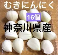 令和8年産　神奈川県産　バラニンニク　生ニンニク　むきニンニク　16個のサムネイル