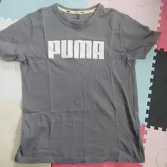 PUMA グレー Tシャツ 160