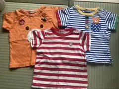 【本日削除】ホットビスケッツ Tシャツ 3枚セット サイズ80