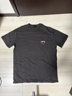 Stussy ブラック Tシャツ Lサイズ