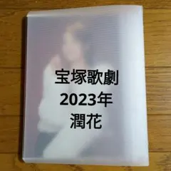 Item thumbnail for item 2f6591fe-4839-4f30-9dc6-e40133b8b5e4