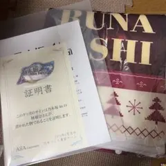 Item thumbnail for item e9d4066c-5abe-4623-bd40-a704e8bdd701