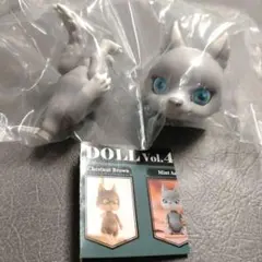 capsule doll vol.4 ash