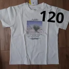 新品コーエフォトプリントTシャツ120サイズ