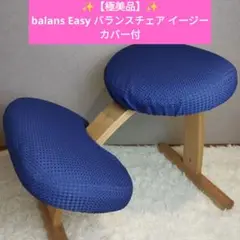 【極美品】balans Easy バランスチェア イージー カバー付