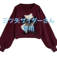 三ツ矢サイダーさん専用