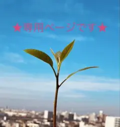 DHCオリジナルフットウォーマー★動物柄フリースフットケアクッション★未使用品のサムネイル