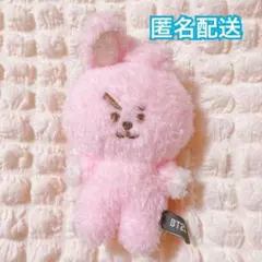 未使用 BTS BT21 COOKY JUNGKOOK グク ぬいぐるみ