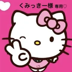 くみっきー様専用♡デコパーツ おまとめ 猫 ミニチュア 雑貨