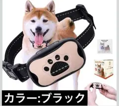 Item thumbnail for item 6f9a2a2a-395f-4258-afc4-179136fa9793