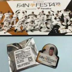 甲斐選手　ピンズ