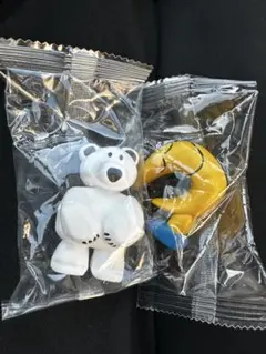 DAISUKE KONDO 月　シロクマ