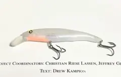 【美品】ニシネルアーワークス　エリー95SD