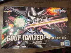 2025年最新】hg グフイグナイテッドの人気アイテム - メルカリ