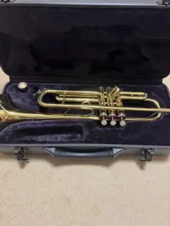 大人気モデル】Maxtone CL-50 B♭ クラリネット - メルカリ