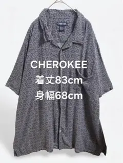 Item thumbnail for item 2d552ccd-8634-4dcc-b304-fb016faf5c0d