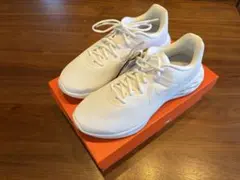 Item thumbnail for item ea81c1de-ff22-4e02-8b27-136d4081759f