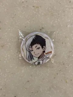 Dr.STONE ドクターストーン あさぎりゲン 缶バッジ 4点セット - メルカリ