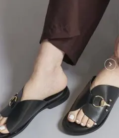 てんちゃん様専用