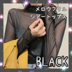 シースルー ハイネック シアー トップス 長袖 カットソー フリル ブラック