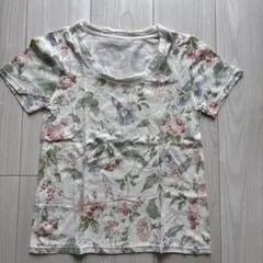 ローラアシュレイ　レディース　半袖カットソー