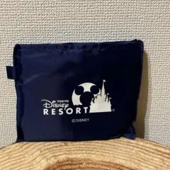 ディズニーランド　シー　エコバッグ　ミッキーマウス　ミニーマウスのサムネイル