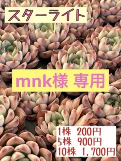 mnk様 リクエスト 4点 まとめ商品