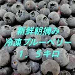 新鮮朝摘み　冷凍ブルーベリー　１．５キロ　栽培期間中農薬不使用のサムネイル