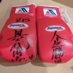 名球会 衣笠祥雄 直筆サイン入りグローブ - メルカリ