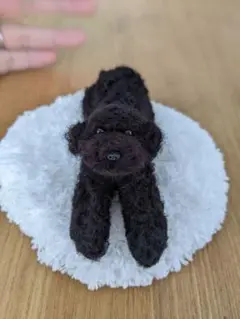 手乗りわんこ　トイプードル　全身　ふせ　マット