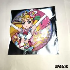 1個目 キュアパルフェ セレクトカラーズ カラフル セレカラ 缶バッジ