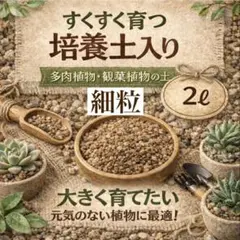 ■【味に自信あり】10k箱■愛媛の不知火■家庭用■除草剤使用無 万田酵素散布■ 味に自信あり】□愛媛の不知火□化粧箱 大□除草剤使用なし 万田酵素
