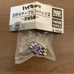 ハイキュー!! 高校モチーフピンバッジ2 宮城県編 扇南高校