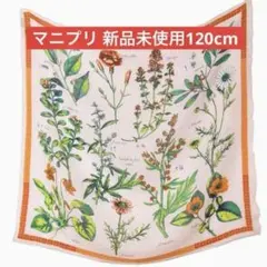 Item thumbnail for item 54cefd56-fb3d-4720-a0d3-74df44b1f922