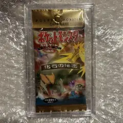 2025年最新】化石の秘密 未開封の人気アイテム - メルカリ