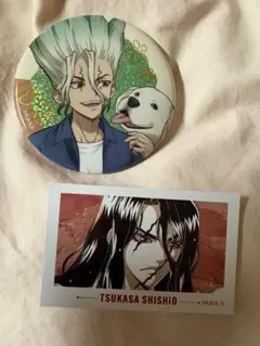 Dr.STONE 千空 プリンセスカフェ 缶バッジ - メルカリ