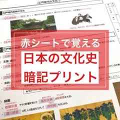 user_4919c5e2様 リクエスト 4点 まとめ商品