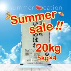 お米 サマーセール！【岩手県産銀河のしずく20kg】5kg×4 - メルカリ