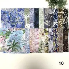 ⑩リバティタナローンハギレ・ヨシエ他