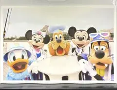 【35】東京ディズニーシー ミッキー ミニー他 実写 ポストカード プラザ衣装のサムネイル