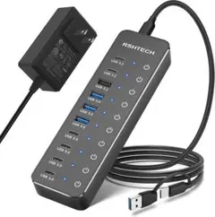 USBハブ 電源付き 10ポート 60W USB-C 6ポート/A 4ポート