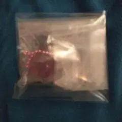 TWICE ポーチ付きグミチャーム モモ