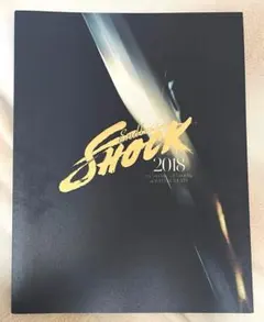 Endless SHOCK エンドレスショック　2018　パンフレット　堂本光一