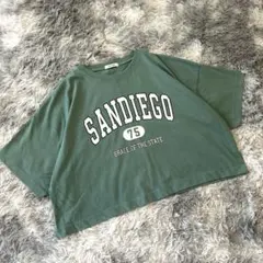 a2778◆カレッジ ショート丈 Tシャツ 半袖 クロップド丈 プリント 緑 M