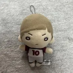 2025年最新】白布 にとたん ぬいぐるみの人気アイテム - メルカリ