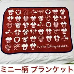 東京ディズニーリゾート ブランケット　ミニー　秋冬用