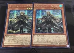 エクソシスター・エリス シク