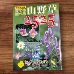 2025年最新】花百科の人気アイテム - メルカリ