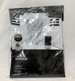 Item thumbnail for item d190cf57-6664-427c-9096-a48ba75178b3